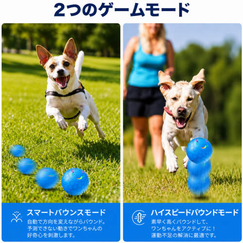 WaggleBall™ 運動不足解消グッズ
