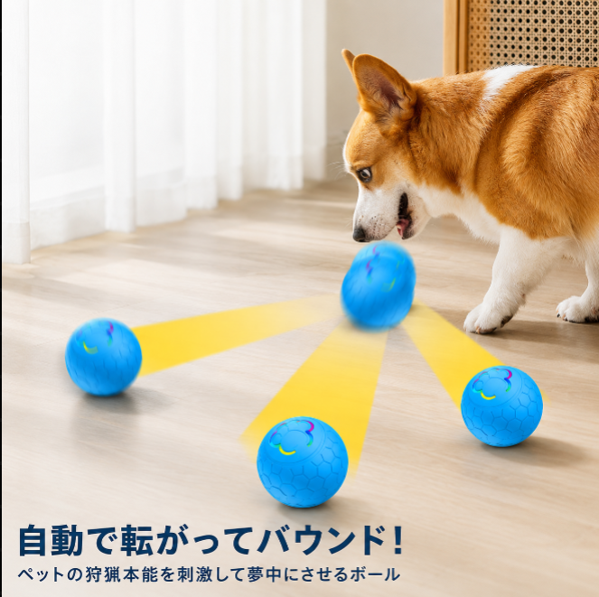 WaggleBall™ 運動不足解消グッズ